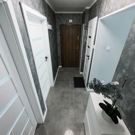 New Apartment - 300 M Town Hall - 3 Rooms - 7 People Wrocław Exterior foto